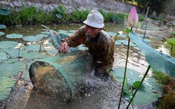 Anh hùng phi công Nguyễn Văn Bảy qua đời