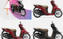 Xe ga ăn khách Honda Vision ra màu mới, giá không đổi