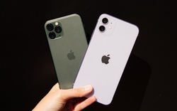 Ưu và nhược điểm lớn trên iPhone 11 và iPhone 11 Pro