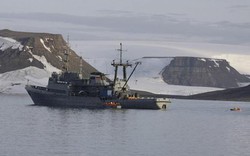 Thuyền của hải quân Nga chìm khi đụng độ hải mã ở Bắc Cực