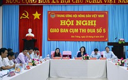 Thực hiện nhiều giải pháp  giúp nông dân tăng thu nhập