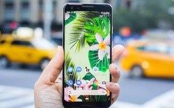 Pixel 4 cần 6 điều này để “đạp đổ” iPhone 11 và Galaxy S10