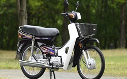 Honda Cub, Dream, Future tạo “thiên đường xe” ở Việt Nam thế nào?