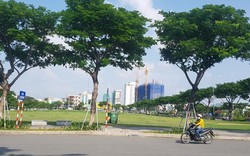 Vipico kiện Đà Nẵng, Viện kiểm sát đề nghị hủy quyết định của thành phố