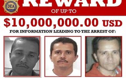 Mexico: Trùm ma túy lộng hành, bắn rơi trực thăng quân đội, ngang nhiên đăng tuyển cảnh sát