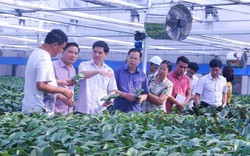 Phó Chủ tịch TƯ HNDVN thăm khu nông nghiệp công nghệ cao Bắc Ninh
