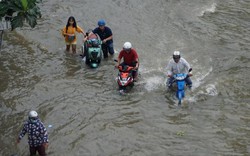 “Hà bá” tấn công, Sài Gòn ngập tứ bề như mùa nước lũ ở miền Tây