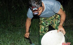 Mùa rươi "sôi" ở Hà Tĩnh, mỗi đêm đi săn lộc trời có nửa triệu