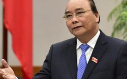 Thủ tướng yêu cầu UBND Đà Nẵng xử lý thông tin báo chí phản ánh