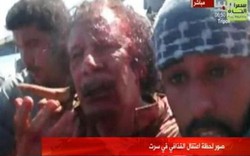 Rộ tin Sarkozy lên kịch bản giết Gaddafi