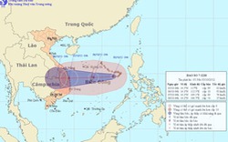 Bão giật cấp 10-11 tiến vào nam Trung Bộ