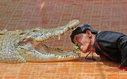 Nghẹt thở màn chui đầu vào miệng cá sấu
