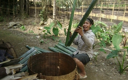 Học nghề đã khó, làm còn khó hơn