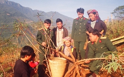 “Cây lạ” giúp Tà Ghênh thoát cái đói