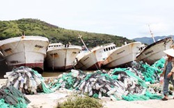 Khánh Hòa: Tước quyền sở hữu 7 tàu bỏ hoang