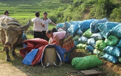 Mộc Châu &#40;Sơn La&#41;: Hội Nông dân giúp dân xoá nghèo