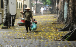 Miền Bắc ngày nắng nhạt, đêm mát mẻ