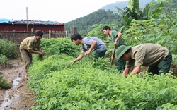 4 anh lính và trang trại trong mây