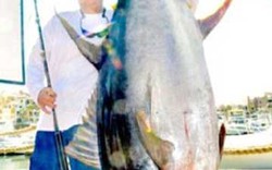 Trở thành triệu phú nhờ câu được cá ngừ 200kg