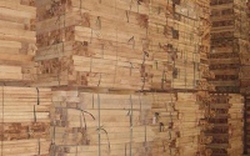 Dùng gỗ cao su sản xuất nhiên liệu