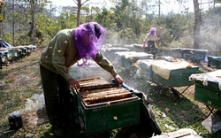 Khó tìm việc sau học nghề