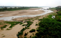 Hơn 142.000 tỷ đồng cho thủy lợi vùng đồng bằng sông Hồng
