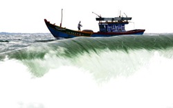 Đã liên lạc được với 2 tàu cá đánh bắt ở Hoàng Sa