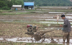 Sơn La: Phù Yên đầu tư mạnh cho tam nông