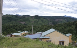 “Xẻo” 1.300ha rừng phòng hộ lấy đất cho dân tái định cư