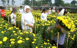 Học nghề ở thủ đô