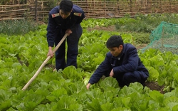 Ra đảo học lính &#34;bí kíp&#34;... nuôi, trồng