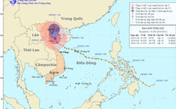 Bão giật cấp 14-15, cách Thanh Hóa, Thái Bình 140km