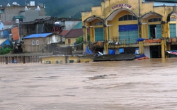 Quảng Ninh: Người và của thiệt hại nặng nề sau bão