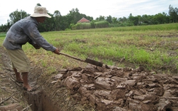 Nông dân  góp tiền tỷ đắp đê