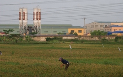 Dự thảo Dự thảo Luật Đất đai &#40;sửa đổi&#41; còn nhiều điểm bất hợp lý