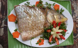 Cá cóc sông Mekong: Tưởng độc mà lại... ngon