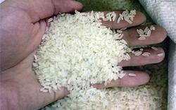 Trình Thủ tướng Quy chế tạm trữ thóc gạo trong tháng 12