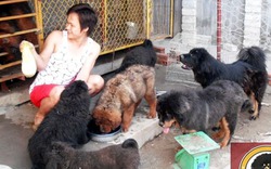 8X Quảng Ninh sỡ hữu trại chó bạc tỷ