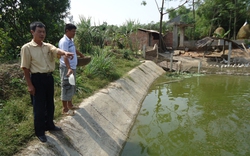 Ông chủ tịch dạy làm giàu