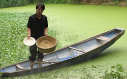 Cử nhân làm... nông dân