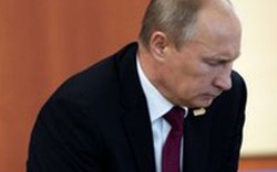 Tổng thống Putin vẫn làm việc dù bị chấn thương