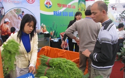 Cơ hội quảng bá nông sản sạch, đặc sản...