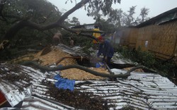 Bão Bopha thổi bay nhà, quật đổ cây ở Philippines