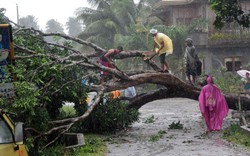 Philippines: Hơn 200 người thiệt mạng do bão Bopha