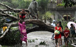 Bão Bopha tấn công Philippines, 52 người chết