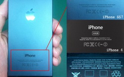 Hé lộ hình ảnh đầu tiên của iPhone 5S?