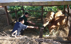 Làng Queng-ray ấm tình quân dân