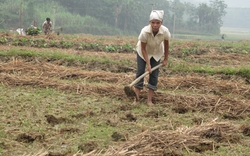 Sửa đổi tiêu chí thu nhập trong xây dựng NTM: Càng bàn càng rối!