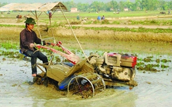 An toàn lao động  trong nông nghiệp bị bỏ ngỏ