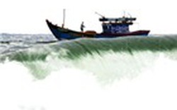 Đà Nẵng: Xây dựng “mật danh”  cho tàu cá